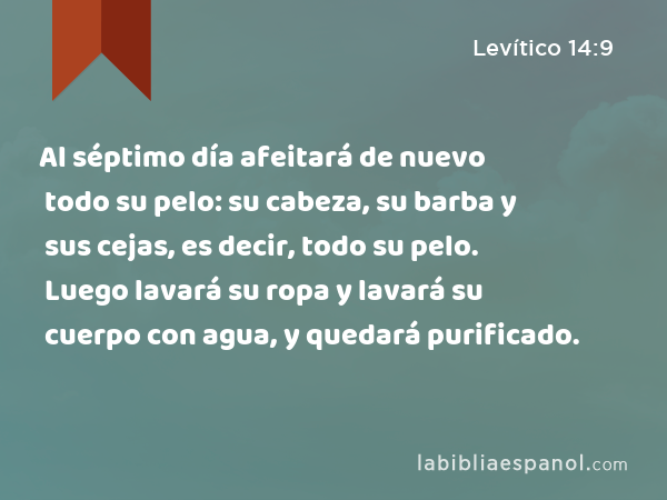 Al séptimo día afeitará de nuevo todo su pelo: su cabeza, su barba y sus cejas, es decir, todo su pelo. Luego lavará su ropa y lavará su cuerpo con agua, y quedará purificado. - Levítico 14:9