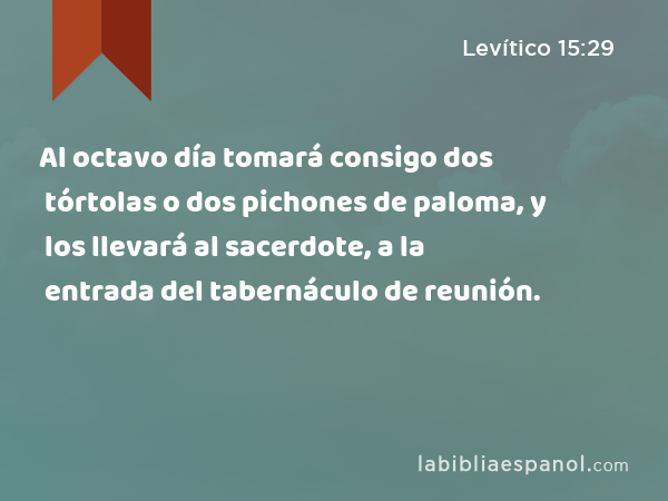 Al octavo día tomará consigo dos tórtolas o dos pichones de paloma, y los llevará al sacerdote, a la entrada del tabernáculo de reunión. - Levítico 15:29