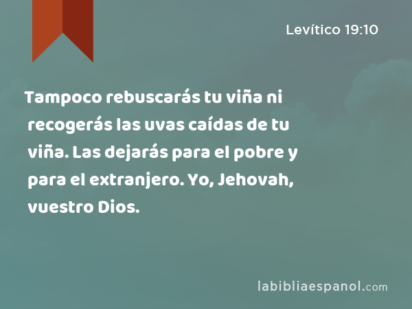 Tampoco rebuscarás tu viña ni recogerás las uvas caídas de tu viña. Las dejarás para el pobre y para el extranjero. Yo, Jehovah, vuestro Dios. - Levítico 19:10