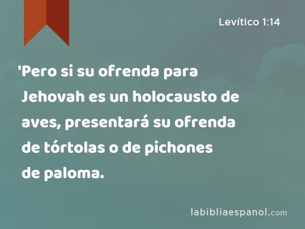 'Pero si su ofrenda para Jehovah es un holocausto de aves, presentará su ofrenda de tórtolas o de pichones de paloma. - Levítico 1:14