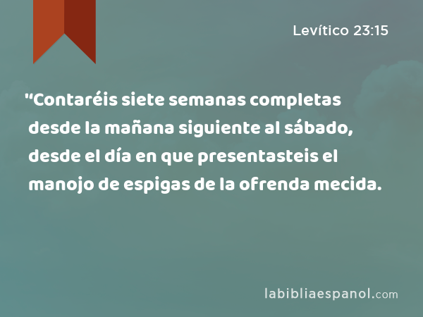 '‘Contaréis siete semanas completas desde la mañana siguiente al sábado, desde el día en que presentasteis el manojo de espigas de la ofrenda mecida. - Levítico 23:15