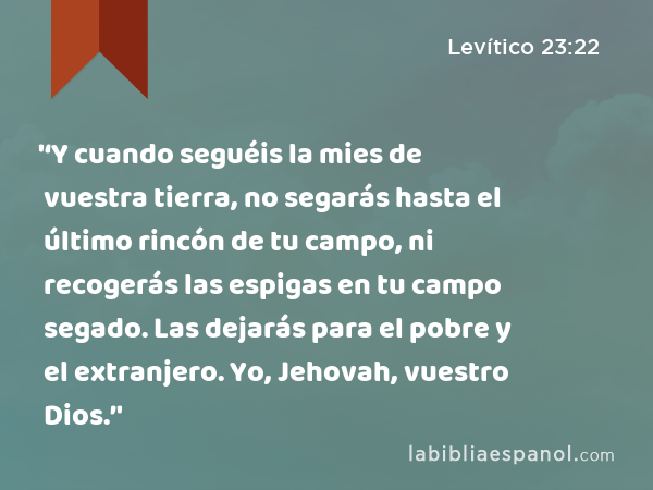 '‘Y cuando seguéis la mies de vuestra tierra, no segarás hasta el último rincón de tu campo, ni recogerás las espigas en tu campo segado. Las dejarás para el pobre y el extranjero. Yo, Jehovah, vuestro Dios.’' - Levítico 23:22