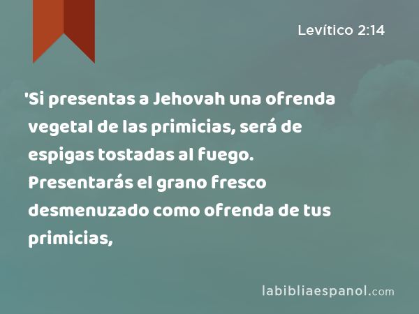 'Si presentas a Jehovah una ofrenda vegetal de las primicias, será de espigas tostadas al fuego. Presentarás el grano fresco desmenuzado como ofrenda de tus primicias, - Levítico 2:14