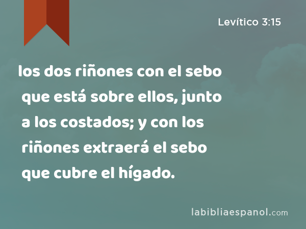 los dos riñones con el sebo que está sobre ellos, junto a los costados; y con los riñones extraerá el sebo que cubre el hígado. - Levítico 3:15