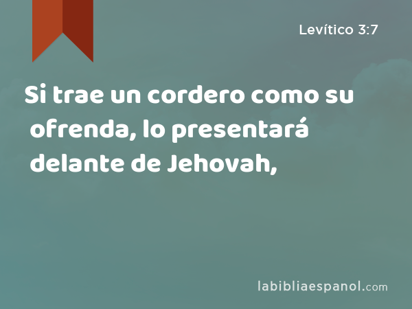 Si trae un cordero como su ofrenda, lo presentará delante de Jehovah, - Levítico 3:7