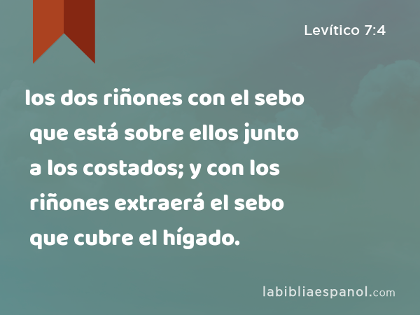 los dos riñones con el sebo que está sobre ellos junto a los costados; y con los riñones extraerá el sebo que cubre el hígado. - Levítico 7:4