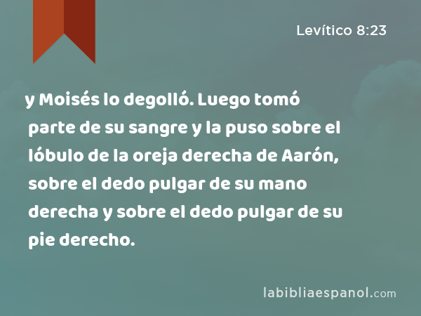 y Moisés lo degolló. Luego tomó parte de su sangre y la puso sobre el lóbulo de la oreja derecha de Aarón, sobre el dedo pulgar de su mano derecha y sobre el dedo pulgar de su pie derecho. - Levítico 8:23