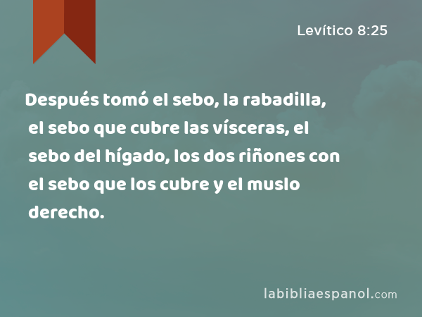 Después tomó el sebo, la rabadilla, el sebo que cubre las vísceras, el sebo del hígado, los dos riñones con el sebo que los cubre y el muslo derecho. - Levítico 8:25