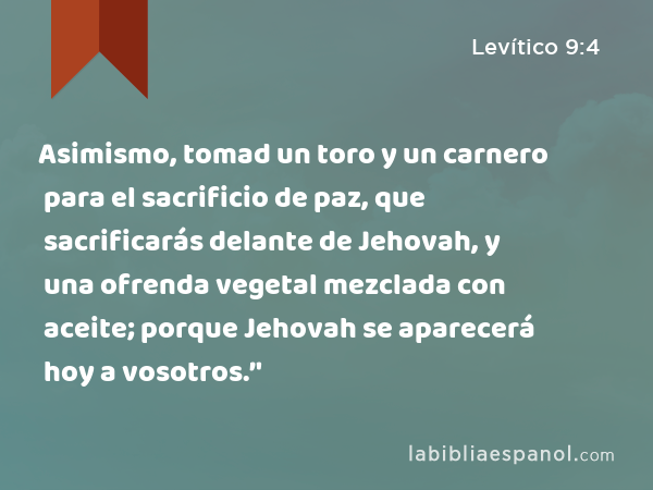 Asimismo, tomad un toro y un carnero para el sacrificio de paz, que sacrificarás delante de Jehovah, y una ofrenda vegetal mezclada con aceite; porque Jehovah se aparecerá hoy a vosotros.’' - Levítico 9:4