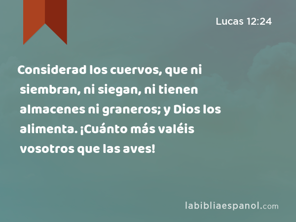 Considerad los cuervos, que ni siembran, ni siegan, ni tienen almacenes ni graneros; y Dios los alimenta. ¡Cuánto más valéis vosotros que las aves! - Lucas 12:24