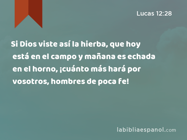 Si Dios viste así la hierba, que hoy está en el campo y mañana es echada en el horno, ¡cuánto más hará por vosotros, hombres de poca fe! - Lucas 12:28