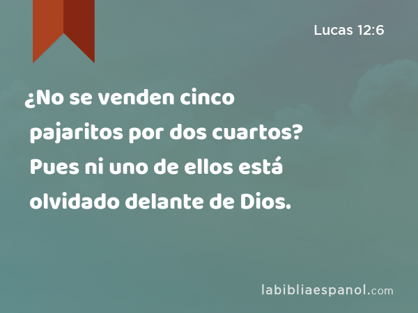 ¿No se venden cinco pajaritos por dos cuartos? Pues ni uno de ellos está olvidado delante de Dios. - Lucas 12:6