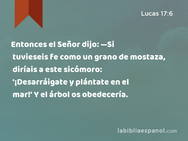 Entonces el Señor dijo: —Si tuvieseis fe como un grano de mostaza, diríais a este sicómoro: '¡Desarráigate y plántate en el mar!' Y el árbol os obedecería. - Lucas 17:6