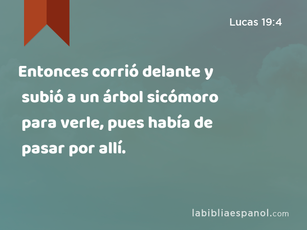 Entonces corrió delante y subió a un árbol sicómoro para verle, pues había de pasar por allí. - Lucas 19:4