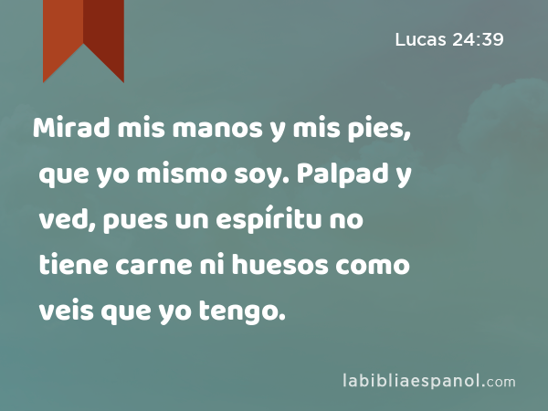 Mirad mis manos y mis pies, que yo mismo soy. Palpad y ved, pues un espíritu no tiene carne ni huesos como veis que yo tengo. - Lucas 24:39