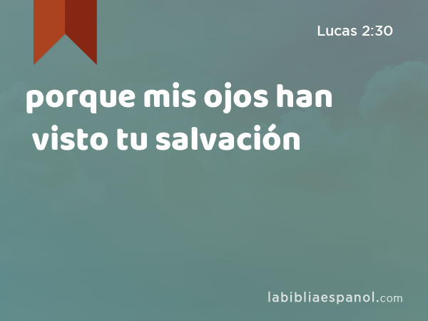 porque mis ojos han visto tu salvación - Lucas 2:30