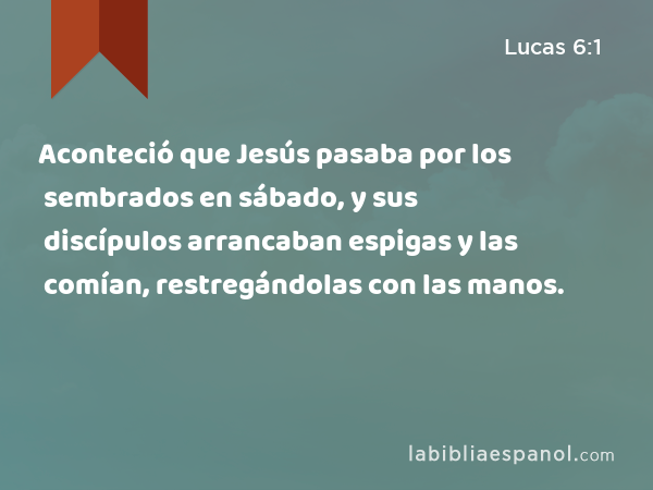 Aconteció que Jesús pasaba por los sembrados en sábado, y sus discípulos arrancaban espigas y las comían, restregándolas con las manos. - Lucas 6:1