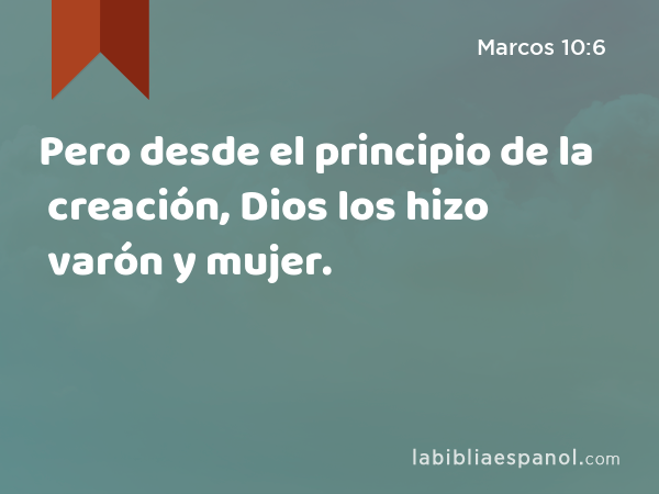 Pero desde el principio de la creación, Dios los hizo varón y mujer. - Marcos 10:6