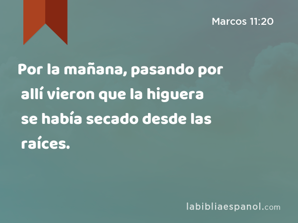 Por la mañana, pasando por allí vieron que la higuera se había secado desde las raíces. - Marcos 11:20