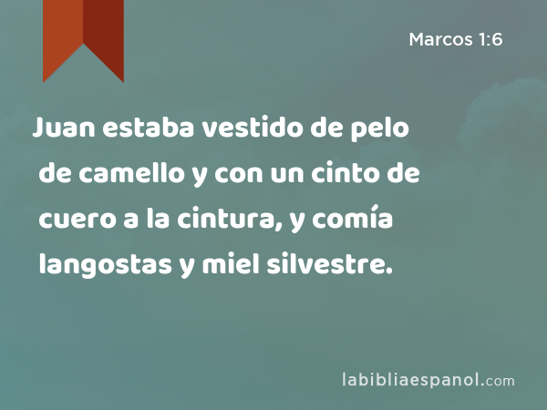 Juan estaba vestido de pelo de camello y con un cinto de cuero a la cintura, y comía langostas y miel silvestre. - Marcos 1:6