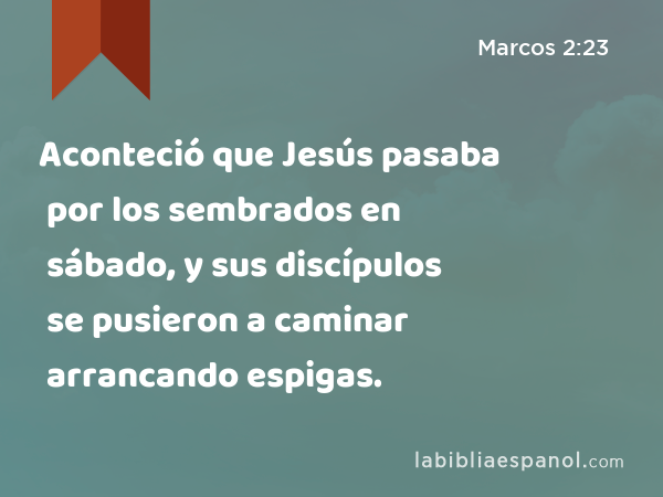 Aconteció que Jesús pasaba por los sembrados en sábado, y sus discípulos se pusieron a caminar arrancando espigas. - Marcos 2:23