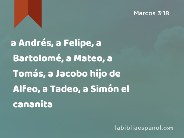 a Andrés, a Felipe, a Bartolomé, a Mateo, a Tomás, a Jacobo hijo de Alfeo, a Tadeo, a Simón el cananita - Marcos 3:18