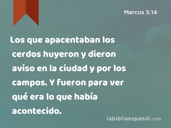 Los que apacentaban los cerdos huyeron y dieron aviso en la ciudad y por los campos. Y fueron para ver qué era lo que había acontecido. - Marcos 5:14