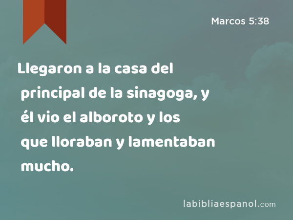 Llegaron a la casa del principal de la sinagoga, y él vio el alboroto y los que lloraban y lamentaban mucho. - Marcos 5:38