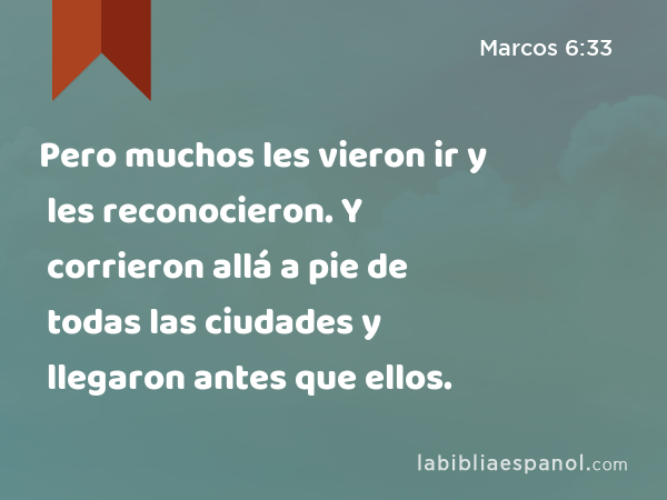 Pero muchos les vieron ir y les reconocieron. Y corrieron allá a pie de todas las ciudades y llegaron antes que ellos. - Marcos 6:33