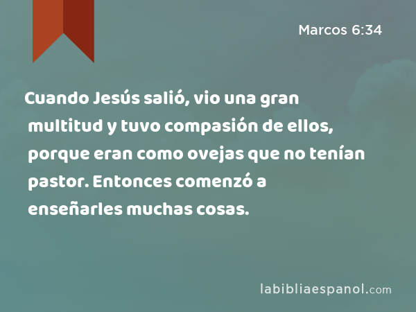 Cuando Jesús salió, vio una gran multitud y tuvo compasión de ellos, porque eran como ovejas que no tenían pastor. Entonces comenzó a enseñarles muchas cosas. - Marcos 6:34