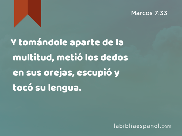 Y tomándole aparte de la multitud, metió los dedos en sus orejas, escupió y tocó su lengua. - Marcos 7:33