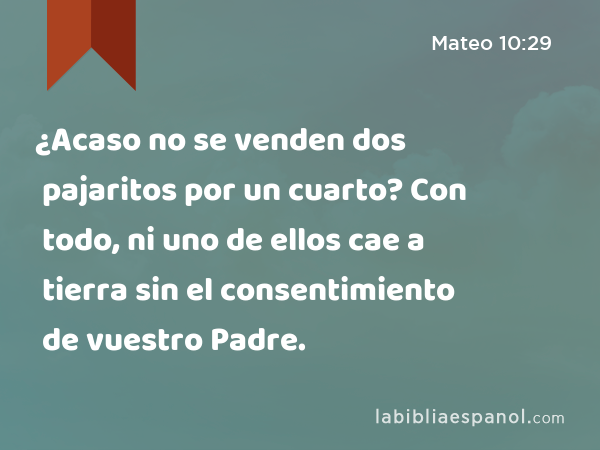 ¿Acaso no se venden dos pajaritos por un cuarto? Con todo, ni uno de ellos cae a tierra sin el consentimiento de vuestro Padre. - Mateo 10:29