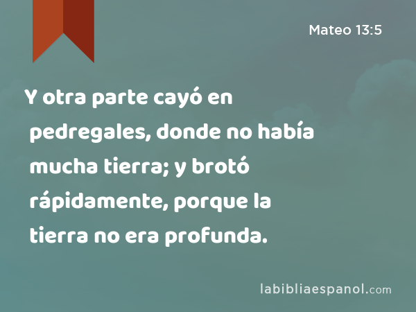 Y otra parte cayó en pedregales, donde no había mucha tierra; y brotó rápidamente, porque la tierra no era profunda. - Mateo 13:5