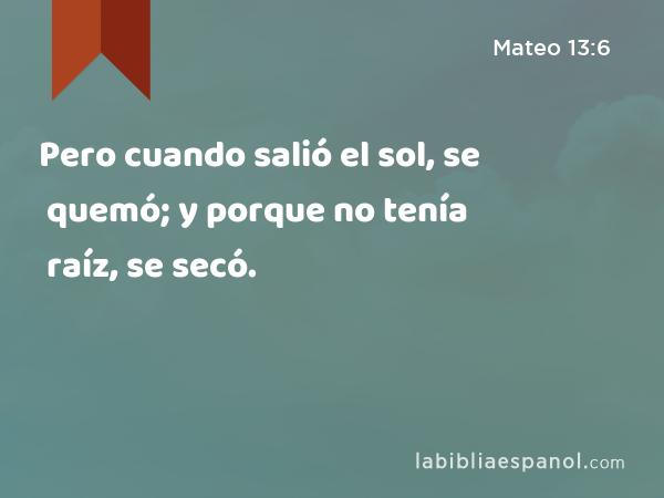 Pero cuando salió el sol, se quemó; y porque no tenía raíz, se secó. - Mateo 13:6