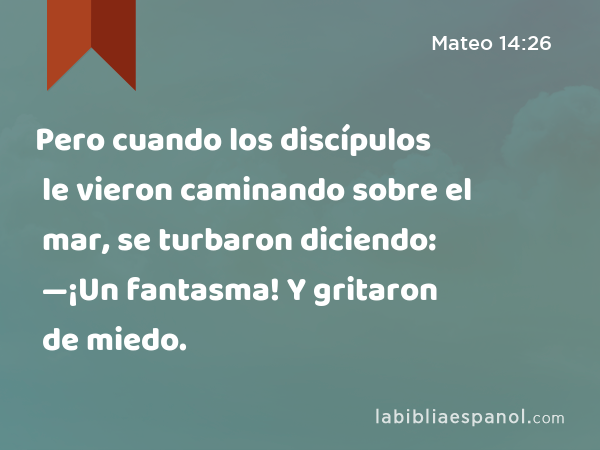 Pero cuando los discípulos le vieron caminando sobre el mar, se turbaron diciendo: —¡Un fantasma! Y gritaron de miedo. - Mateo 14:26