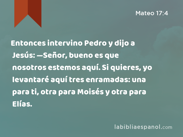 Entonces intervino Pedro y dijo a Jesús: —Señor, bueno es que nosotros estemos aquí. Si quieres, yo levantaré aquí tres enramadas: una para ti, otra para Moisés y otra para Elías. - Mateo 17:4