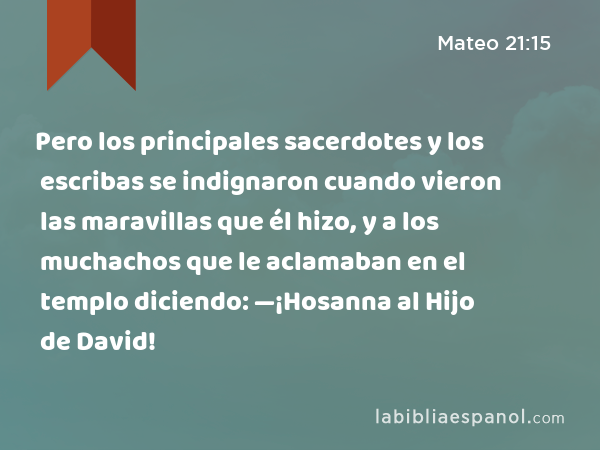 Pero los principales sacerdotes y los escribas se indignaron cuando vieron las maravillas que él hizo, y a los muchachos que le aclamaban en el templo diciendo: —¡Hosanna al Hijo de David! - Mateo 21:15