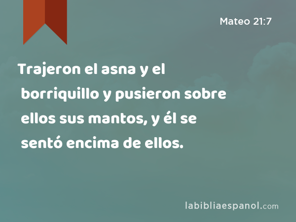 Trajeron el asna y el borriquillo y pusieron sobre ellos sus mantos, y él se sentó encima de ellos. - Mateo 21:7