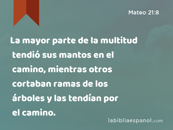 La mayor parte de la multitud tendió sus mantos en el camino, mientras otros cortaban ramas de los árboles y las tendían por el camino. - Mateo 21:8