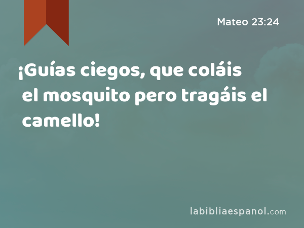 ¡Guías ciegos, que coláis el mosquito pero tragáis el camello! - Mateo 23:24