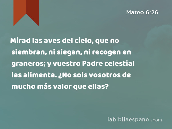 Mirad las aves del cielo, que no siembran, ni siegan, ni recogen en graneros; y vuestro Padre celestial las alimenta. ¿No sois vosotros de mucho más valor que ellas? - Mateo 6:26