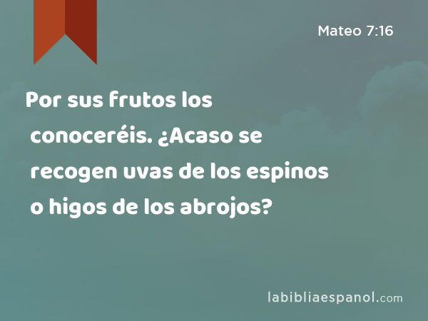 Por sus frutos los conoceréis. ¿Acaso se recogen uvas de los espinos o higos de los abrojos? - Mateo 7:16