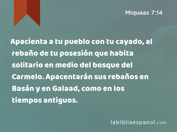 Apacienta a tu pueblo con tu cayado, al rebaño de tu posesión que habita solitario en medio del bosque del Carmelo. Apacentarán sus rebaños en Basán y en Galaad, como en los tiempos antiguos. - Miqueas 7:14