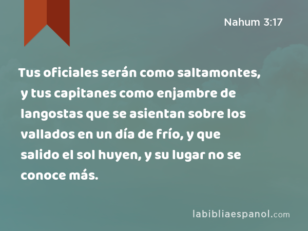 Tus oficiales serán como saltamontes, y tus capitanes como enjambre de langostas que se asientan sobre los vallados en un día de frío, y que salido el sol huyen, y su lugar no se conoce más. - Nahum 3:17