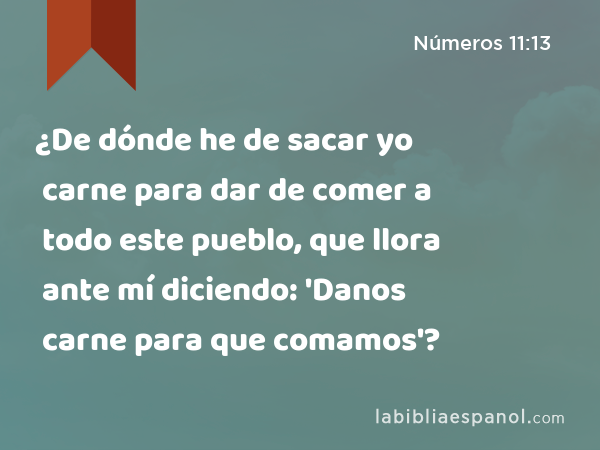 ¿De dónde he de sacar yo carne para dar de comer a todo este pueblo, que llora ante mí diciendo: 'Danos carne para que comamos'? - Números 11:13