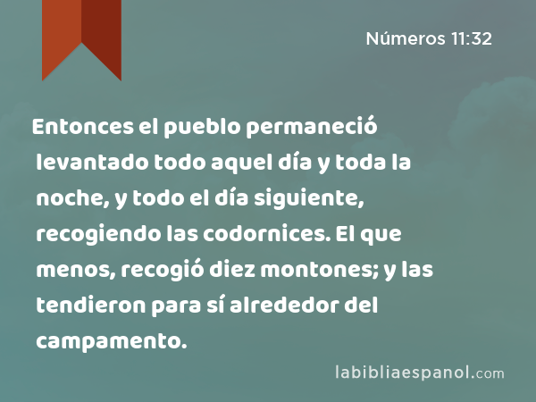 Entonces el pueblo permaneció levantado todo aquel día y toda la noche, y todo el día siguiente, recogiendo las codornices. El que menos, recogió diez montones; y las tendieron para sí alrededor del campamento. - Números 11:32