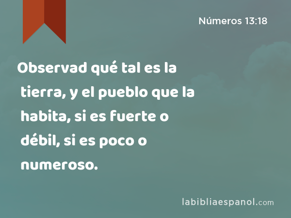 Observad qué tal es la tierra, y el pueblo que la habita, si es fuerte o débil, si es poco o numeroso. - Números 13:18