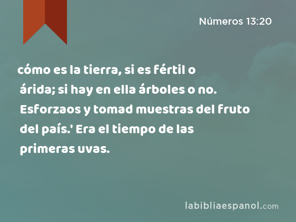 cómo es la tierra, si es fértil o árida; si hay en ella árboles o no. Esforzaos y tomad muestras del fruto del país.' Era el tiempo de las primeras uvas. - Números 13:20