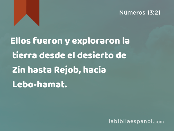 Ellos fueron y exploraron la tierra desde el desierto de Zin hasta Rejob, hacia Lebo-hamat. - Números 13:21