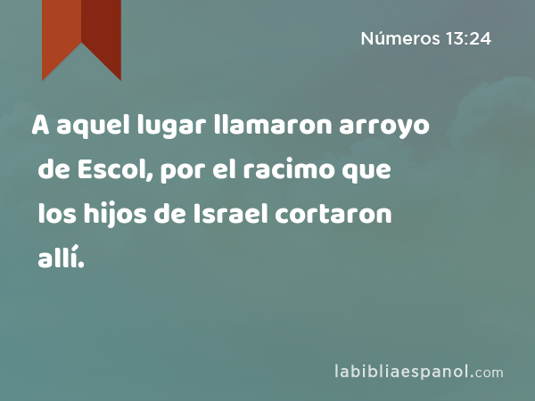 A aquel lugar llamaron arroyo de Escol, por el racimo que los hijos de Israel cortaron allí. - Números 13:24